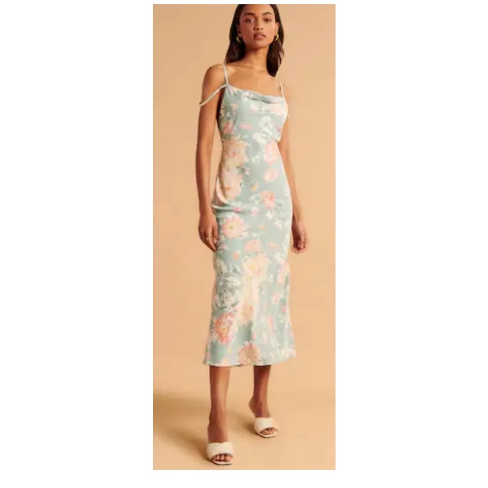 Abercrombie & Fitch Floral Midi Dress - Blue and Pink